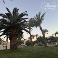 фото из отзыва ID 2740693