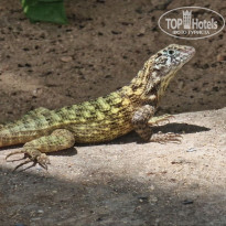 фото из отзыва ID 2740729