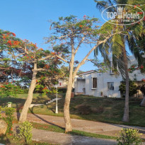 фото из отзыва ID 2740729