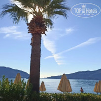 фото из отзыва ID 2740769