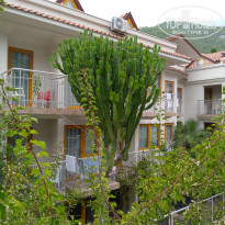 фото из отзыва ID 2740771