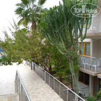 фото из отзыва ID 2740771