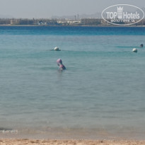 фото из отзыва ID 2740779