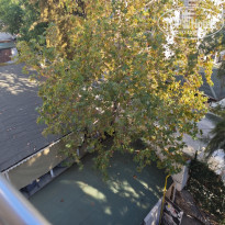 фото из отзыва ID 2740809