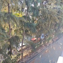 фото из отзыва ID 2740809