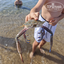 фото из отзыва ID 2740809