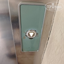 фото из отзыва ID 2740809