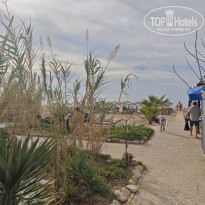 фото из отзыва ID 2740809