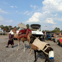 фото из отзыва ID 2740194