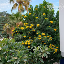 фото из отзыва ID 2740835