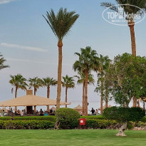 фото из отзыва ID 2740835