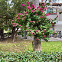 фото из отзыва ID 2740820