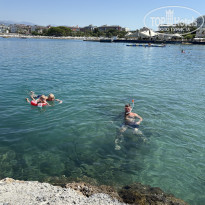 фото из отзыва ID 2740865