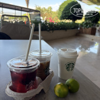 фото из отзыва ID 2740865