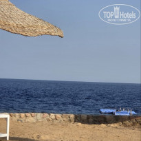 фото из отзыва ID 2740872