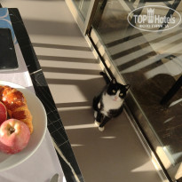 фото из отзыва ID 2740870