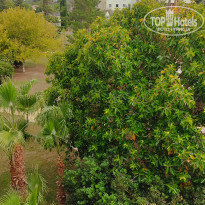 фото из отзыва ID 2740870