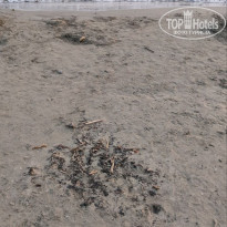 фото из отзыва ID 2740892