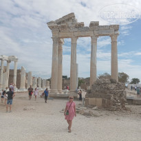 фото из отзыва ID 2740900