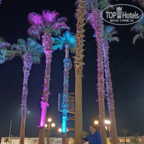 фото из отзыва ID 2740876