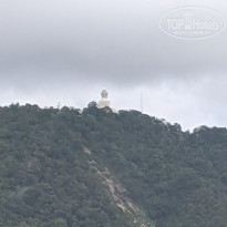 фото из отзыва ID 2740918