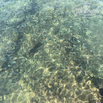 фото из отзыва ID 2740921