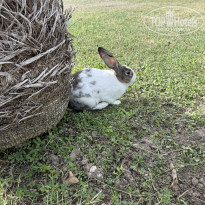 фото из отзыва ID 2740928