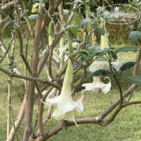 фото из отзыва ID 2740928