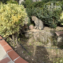 фото из отзыва ID 2740928