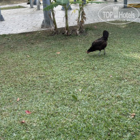 фото из отзыва ID 2740928