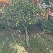 фото из отзыва ID 2740928