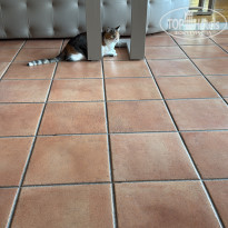 фото из отзыва ID 2740928