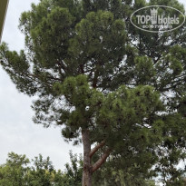 фото из отзыва ID 2740928