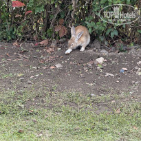 фото из отзыва ID 2740928