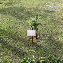 фото из отзыва ID 2740928