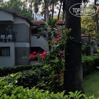 фото из отзыва ID 2740730