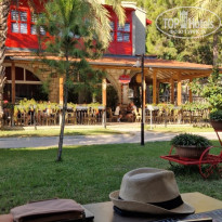 фото из отзыва ID 2740730