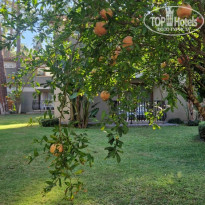 фото из отзыва ID 2740730