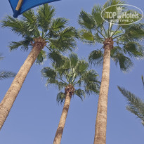 фото из отзыва ID 2740933