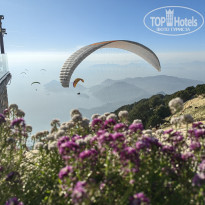 фото из отзыва ID 2740940