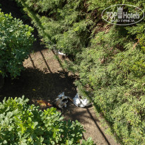 фото из отзыва ID 2740940