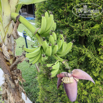 фото из отзыва ID 2740940