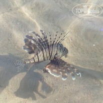 фото из отзыва ID 2740950