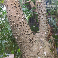 фото из отзыва ID 2740954