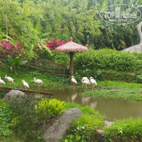 фото из отзыва ID 2740954