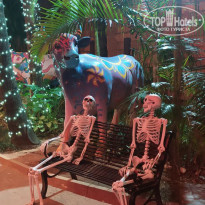 фото из отзыва ID 2740954