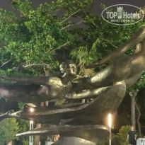 фото из отзыва ID 2740954