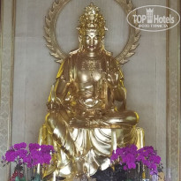 фото из отзыва ID 2740954