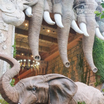 фото из отзыва ID 2740954