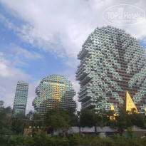 фото из отзыва ID 2740954